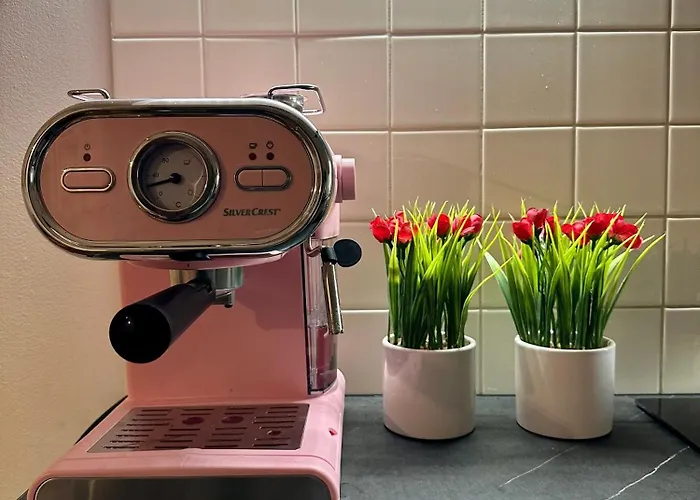 Sniezkowe - Dwupoziomowy Z Garazem * كارباش