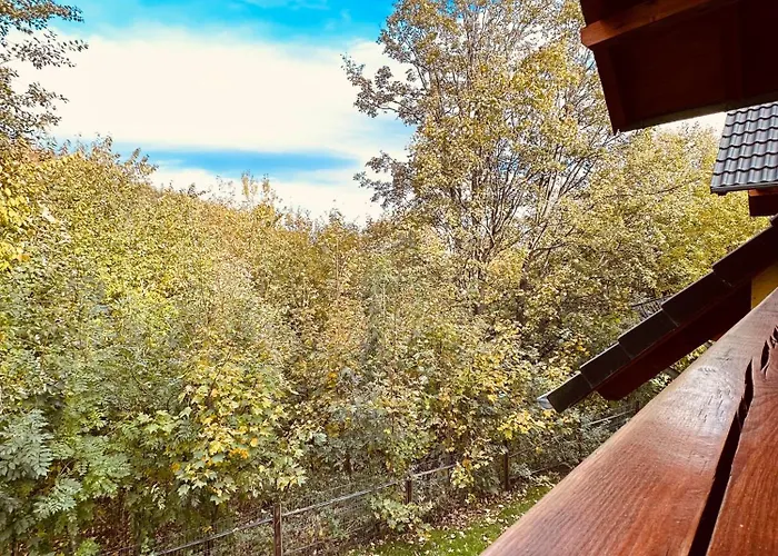 아파트 Sniezkowe - Dwupoziomowy Z Garazem 카르파츠